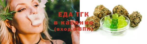 ГАЛЛЮЦИНОГЕННЫЕ ГРИБЫ Гусев