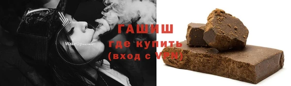 ГАЛЛЮЦИНОГЕННЫЕ ГРИБЫ Гусев