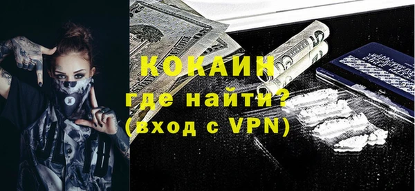 ГАЛЛЮЦИНОГЕННЫЕ ГРИБЫ Гусев