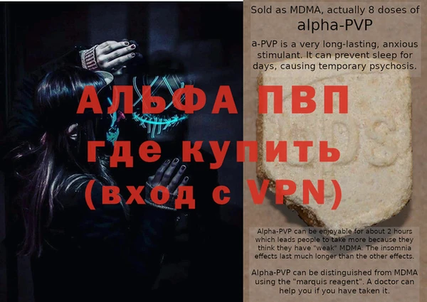 ГАЛЛЮЦИНОГЕННЫЕ ГРИБЫ Гусев