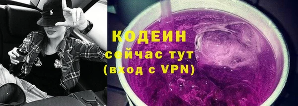 ГАЛЛЮЦИНОГЕННЫЕ ГРИБЫ Гусев