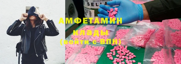 ГАЛЛЮЦИНОГЕННЫЕ ГРИБЫ Гусев