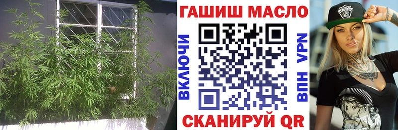 ТГК THC oil  ссылка на мегу зеркало  Елизово  наркота 