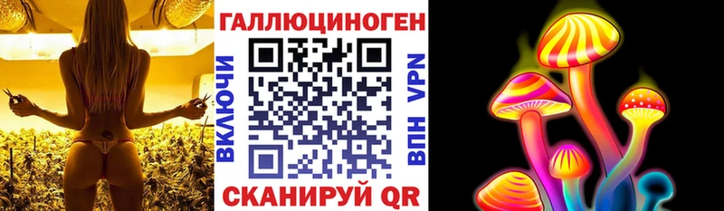 дарнет шоп  ссылка на мегу вход  Галлюциногенные грибы Psilocybine cubensis  Елизово 